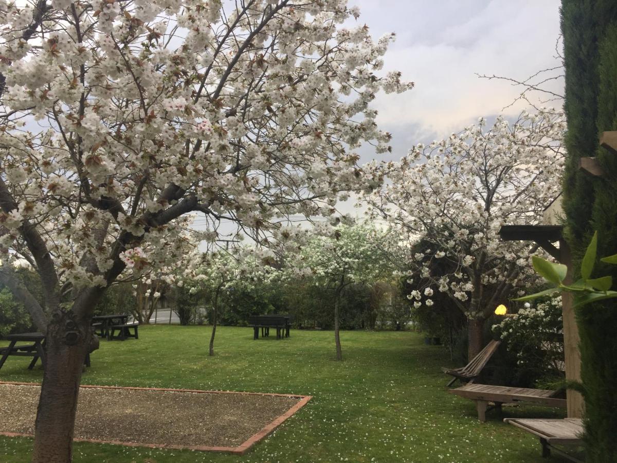 Pinot Villas Martinborough Buitenkant foto