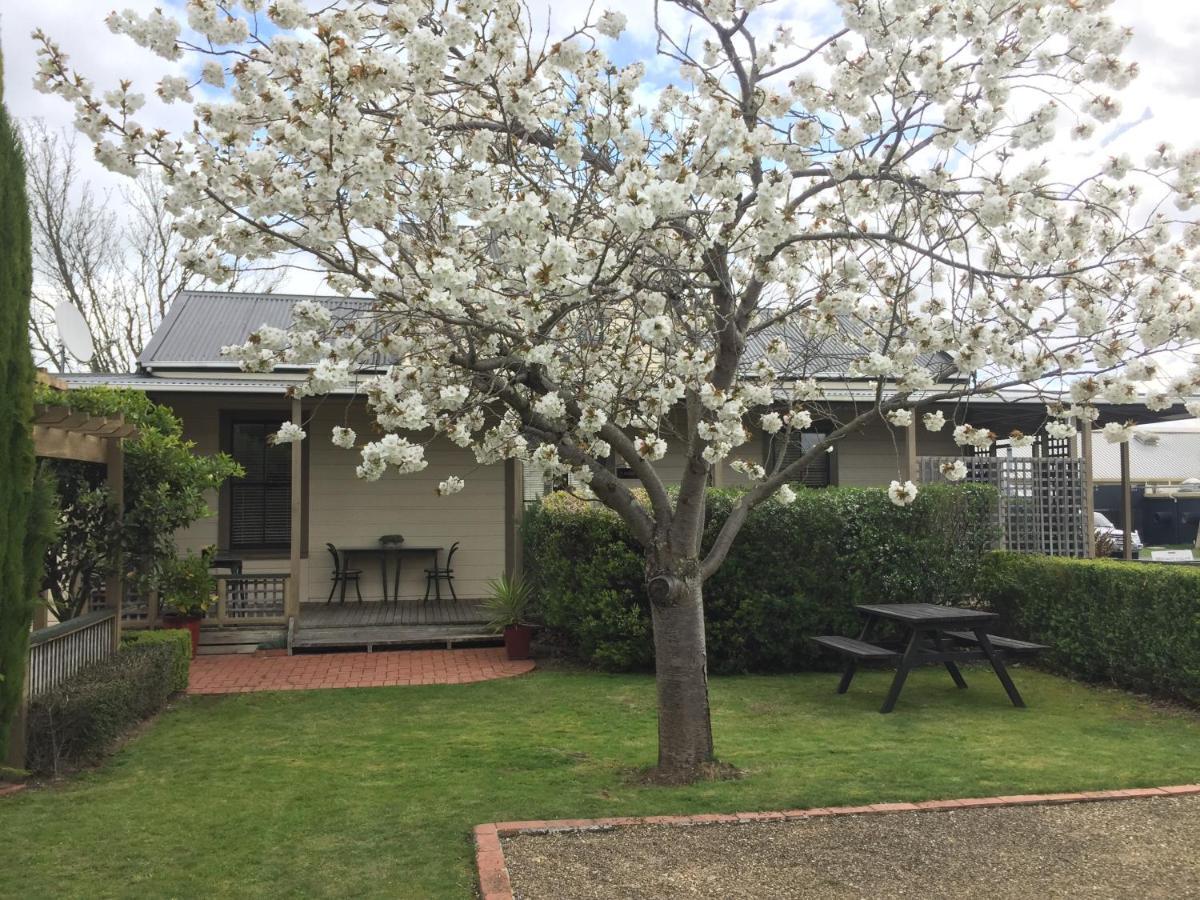 Pinot Villas Martinborough Buitenkant foto