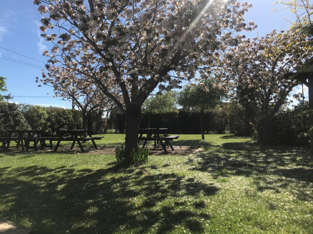 Pinot Villas Martinborough Buitenkant foto